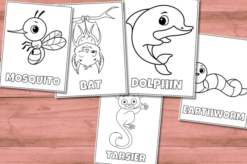 30 Easy Coloring Pages for Kids – Digital Download